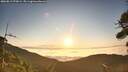 ./images/calvert/fitz-hugh-hecate/20260813/fitz-hugh-hecate20260813_070001M.jpg