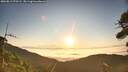 ./images/calvert/fitz-hugh-hecate/20260813/fitz-hugh-hecate20260813_070502M.jpg