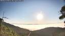 ./images/calvert/fitz-hugh-hecate/20260813/fitz-hugh-hecate20260813_074501M.jpg