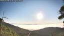 ./images/calvert/fitz-hugh-hecate/20260813/fitz-hugh-hecate20260813_075001M.jpg