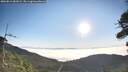 ./images/calvert/fitz-hugh-hecate/20260813/fitz-hugh-hecate20260813_081001M.jpg