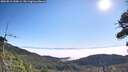 ./images/calvert/fitz-hugh-hecate/20260813/fitz-hugh-hecate20260813_100001M.jpg