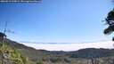 ./images/calvert/fitz-hugh-hecate/20260813/fitz-hugh-hecate20260813_110002M.jpg