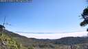 ./images/calvert/fitz-hugh-hecate/20260813/fitz-hugh-hecate20260813_110502M.jpg