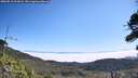 ./images/calvert/fitz-hugh-hecate/20260813/fitz-hugh-hecate20260813_111002M.jpg