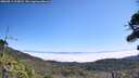 ./images/calvert/fitz-hugh-hecate/20260813/fitz-hugh-hecate20260813_115001M.jpg