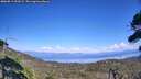 ./images/calvert/fitz-hugh-hecate/20260813/fitz-hugh-hecate20260813_153501M.jpg