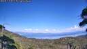 ./images/calvert/fitz-hugh-hecate/20260813/fitz-hugh-hecate20260813_154002M.jpg