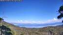 ./images/calvert/fitz-hugh-hecate/20260813/fitz-hugh-hecate20260813_154501M.jpg
