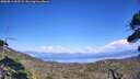 ./images/calvert/fitz-hugh-hecate/20260813/fitz-hugh-hecate20260813_162501M.jpg
