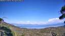 ./images/calvert/fitz-hugh-hecate/20260813/fitz-hugh-hecate20260813_164501M.jpg