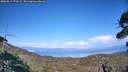 ./images/calvert/fitz-hugh-hecate/20260813/fitz-hugh-hecate20260813_173502M.jpg
