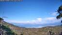 ./images/calvert/fitz-hugh-hecate/20260813/fitz-hugh-hecate20260813_180002M.jpg