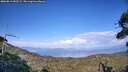 ./images/calvert/fitz-hugh-hecate/20260813/fitz-hugh-hecate20260813_183502M.jpg