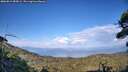 ./images/calvert/fitz-hugh-hecate/20260813/fitz-hugh-hecate20260813_185002M.jpg