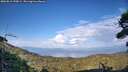 ./images/calvert/fitz-hugh-hecate/20260813/fitz-hugh-hecate20260813_190001M.jpg