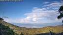 ./images/calvert/fitz-hugh-hecate/20260813/fitz-hugh-hecate20260813_191001M.jpg