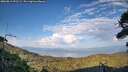 ./images/calvert/fitz-hugh-hecate/20260813/fitz-hugh-hecate20260813_191501M.jpg