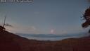 ./images/calvert/fitz-hugh-hecate/20260813/fitz-hugh-hecate20260813_213502M.jpg