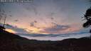 ./images/calvert/fitz-hugh-hecate/20260814/fitz-hugh-hecate20260814_054501M.jpg