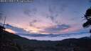 ./images/calvert/fitz-hugh-hecate/20260814/fitz-hugh-hecate20260814_055001M.jpg