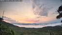 ./images/calvert/fitz-hugh-hecate/20260814/fitz-hugh-hecate20260814_062001M.jpg