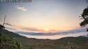 ./images/calvert/fitz-hugh-hecate/20260814/fitz-hugh-hecate20260814_065501M.jpg
