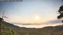 ./images/calvert/fitz-hugh-hecate/20260814/fitz-hugh-hecate20260814_073002M.jpg