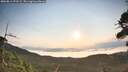 ./images/calvert/fitz-hugh-hecate/20260814/fitz-hugh-hecate20260814_073501M.jpg