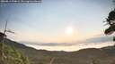./images/calvert/fitz-hugh-hecate/20260814/fitz-hugh-hecate20260814_074001M.jpg