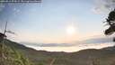 ./images/calvert/fitz-hugh-hecate/20260814/fitz-hugh-hecate20260814_074501M.jpg