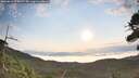 ./images/calvert/fitz-hugh-hecate/20260814/fitz-hugh-hecate20260814_075001M.jpg
