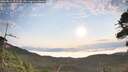 ./images/calvert/fitz-hugh-hecate/20260814/fitz-hugh-hecate20260814_075501M.jpg