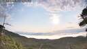 ./images/calvert/fitz-hugh-hecate/20260814/fitz-hugh-hecate20260814_080001M.jpg