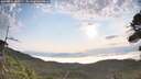 ./images/calvert/fitz-hugh-hecate/20260814/fitz-hugh-hecate20260814_080501M.jpg