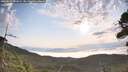 ./images/calvert/fitz-hugh-hecate/20260814/fitz-hugh-hecate20260814_081001M.jpg