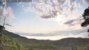 ./images/calvert/fitz-hugh-hecate/20260814/fitz-hugh-hecate20260814_081501M.jpg