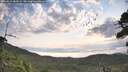 ./images/calvert/fitz-hugh-hecate/20260814/fitz-hugh-hecate20260814_083501M.jpg