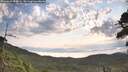 ./images/calvert/fitz-hugh-hecate/20260814/fitz-hugh-hecate20260814_084001M.jpg