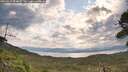 ./images/calvert/fitz-hugh-hecate/20260814/fitz-hugh-hecate20260814_094001M.jpg