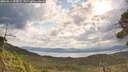 ./images/calvert/fitz-hugh-hecate/20260814/fitz-hugh-hecate20260814_094501M.jpg