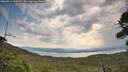 ./images/calvert/fitz-hugh-hecate/20260814/fitz-hugh-hecate20260814_111501M.jpg