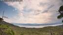 ./images/calvert/fitz-hugh-hecate/20260814/fitz-hugh-hecate20260814_113501M.jpg
