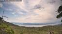 ./images/calvert/fitz-hugh-hecate/20260814/fitz-hugh-hecate20260814_120001M.jpg
