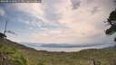 ./images/calvert/fitz-hugh-hecate/20260814/fitz-hugh-hecate20260814_120501M.jpg