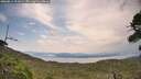 ./images/calvert/fitz-hugh-hecate/20260814/fitz-hugh-hecate20260814_121001M.jpg