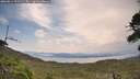 ./images/calvert/fitz-hugh-hecate/20260814/fitz-hugh-hecate20260814_121501M.jpg