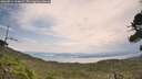 ./images/calvert/fitz-hugh-hecate/20260814/fitz-hugh-hecate20260814_124001M.jpg