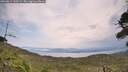 ./images/calvert/fitz-hugh-hecate/20260814/fitz-hugh-hecate20260814_130501M.jpg