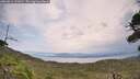 ./images/calvert/fitz-hugh-hecate/20260814/fitz-hugh-hecate20260814_131002M.jpg